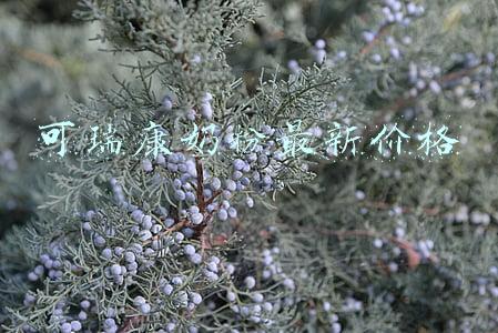 可瑞康益生菌奶粉(Bubs、佳贝艾特、可瑞康、a2、蓝臻、菁挚纯净等多款热门奶粉评测)