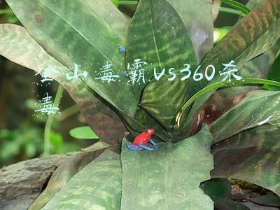 金山毒霸与360冲突吗(人民日报点名360和金山毒霸：“杀毒软件”变成“病毒软件”？)