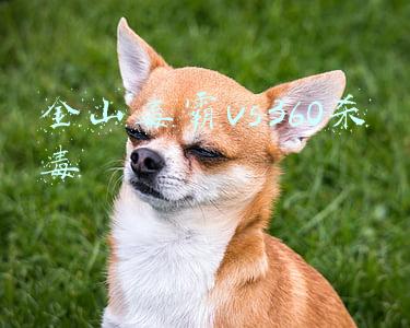 金山毒霸杀毒官方下载(下载个金山毒霸玩玩)