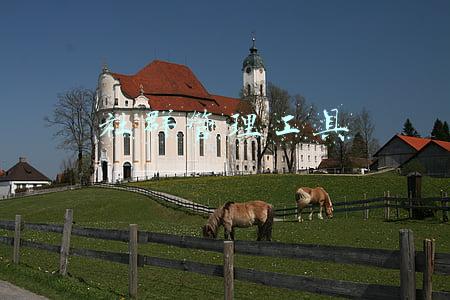 社群管理工具有哪些(每域：社群运营工具要怎么选？看完你就知道了)
