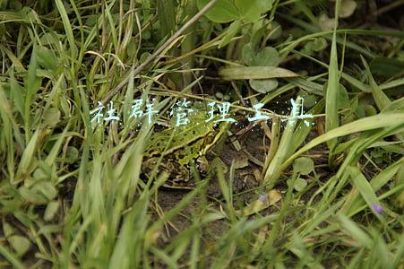 微信社群管理工具(6款微信社群运营工具推荐)