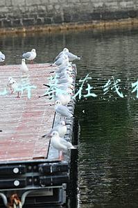 手机屏幕在线检测