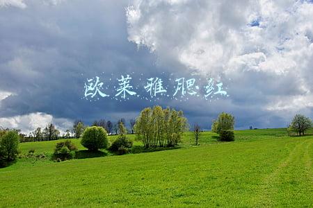 欧莱雅腮红
