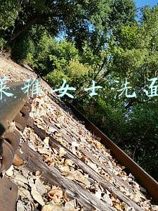 欧莱雅女士洗面奶洁面乳(混油油皮的肤质用什么洗面奶？避免毛孔堵塞，让肌肤清洁又干净)