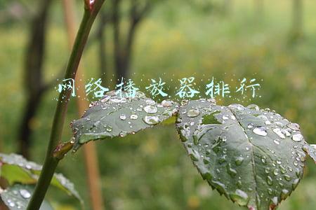 高清网络播放器推荐(高清生活随心享 四款高清播放机强力推荐)