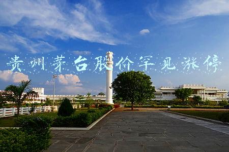 贵州茅台股价罕见涨停