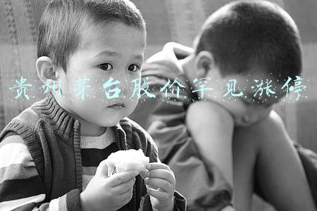 贵州茅台股价罕见涨停