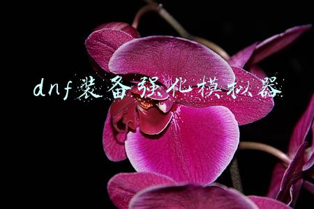 dnf装备强化模拟器