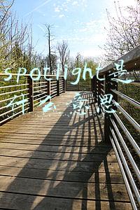 spotlight是什么意思
