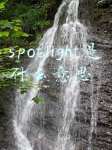 spotlight是什么意思