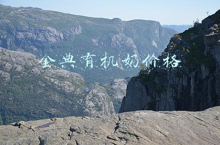 金典有机奶价格