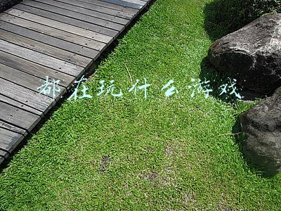 都在玩什么游戏