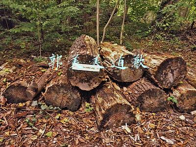 请你谈谈郭美美事件的看法(《人民日报》锐评郭美美事件：一篇穿透历史的精彩申论范文)
