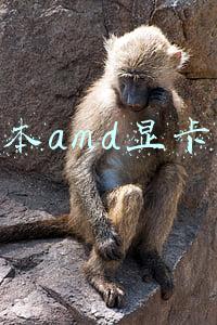 amd顶级显卡(AMD最强移动端显卡RX6800M实力如何？跑分超3080，实际性能尴尬了)