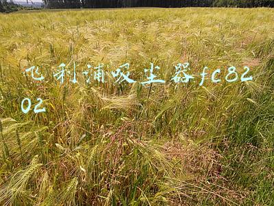 飞利浦吸尘器fc8202拆卸图解(心动好礼“净”享家！飞利浦电视五一大促提前开启)