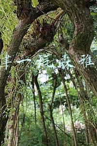 天津一汽森雅s80