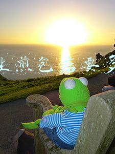 生煎包一年能赚多少钱(卖煎包一天能赚多少钱)