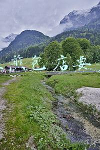 生煎包连锁加盟多少钱:生煎包连锁加盟
