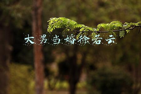 大男当婚徐若云结局(现在满是霸屏的甜宠剧，不知道是否还有人记得《大男当婚》这部剧)