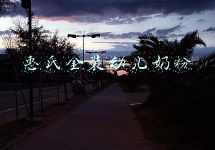 惠氏金装幼儿奶粉