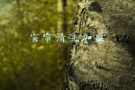 清洗窗帘布(愁人的窗帘要怎么清洗，幸好阿姨告诉我，让我家焕然一新！)