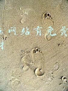 ps素材免费网站有哪些(不想在PPT模版上花钱？那么我向你推荐这个免费模版网站)