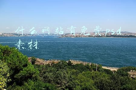 什么网站有免费psd素材