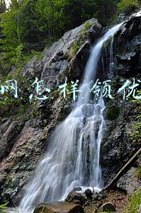 淘宝网怎样领优惠券