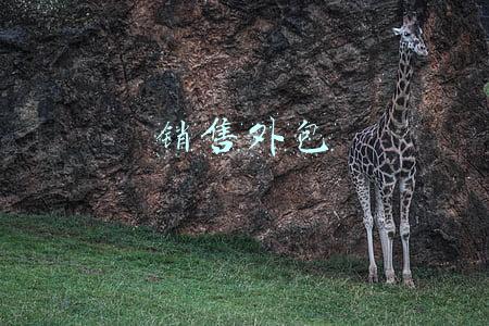 销售外包合同模板(三方服务销售合同模版-适用网络外包)