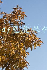 jpg转pdf免费软件(无需安装，完全免费的PDF工具集，我给大家分享这4个)