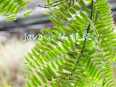 java前端框架