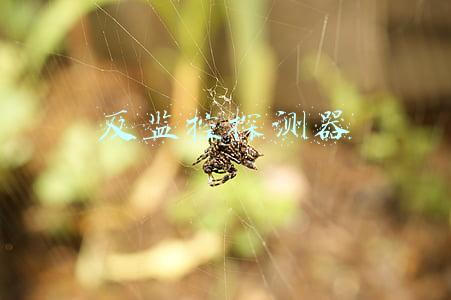 反监控探测器
