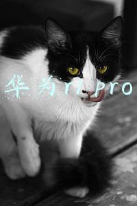 华为r1 pro