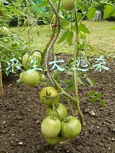 绝地求生大逃杀配置要求高吗(《绝地求生大逃杀》低端电脑配置要求测试 带你挑战游戏底线！)