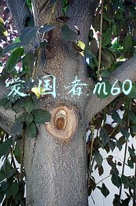 爱国者m60