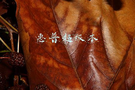 惠普超级本有哪些(大家都在买 近期最值得买的惠普笔记本都在这儿)