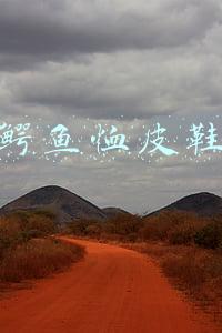 鳄鱼恤皮鞋官网(曾被温州商人组团收购“皮尔•卡丹”模式为何在中国失灵了？)