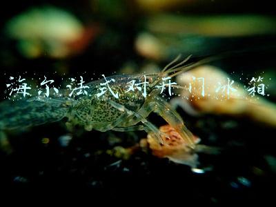海尔法式对开门冰箱