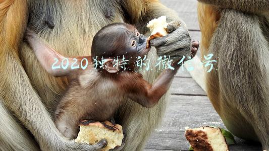 2020独特的微信号特殊符号(网络表情符号能否成为“呈堂证供”？律师：难以直接定案)