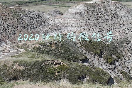 2020独特的微信号符号(网络表情符号能否成为“呈堂证供”？专家这样说)