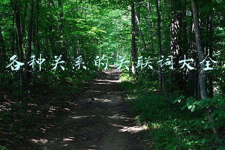 各种关系的关联词有哪些(公文写作用活这些关联词，讲话稿水准要提高不少)