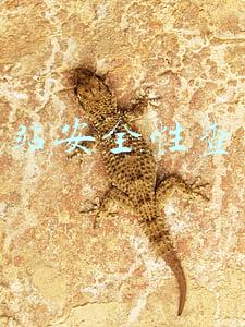 经营性网站许可证(ICP许可证线上“营业执照”，不懂得赶紧来看看，别等罚款来找你)