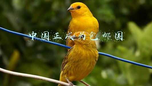 中国包邮区(不得不说，江浙沪就是江浙沪，包邮区就是包邮区)