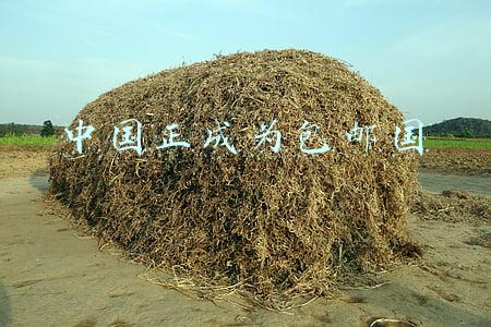 中国邮政国际小包(华人Hbuy分享！中国邮政EMS国际快递很强你懂不懂？)