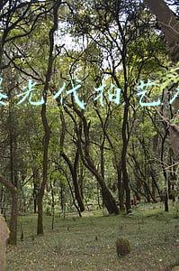 央视曝光代拍艺人产业链