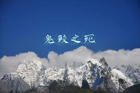 鬼鲛之死