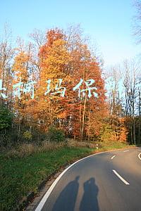 澳柯玛保鲜柜价格及图片(海鲜囤货保鲜难？澳柯玛创新推出-65℃冷柜)