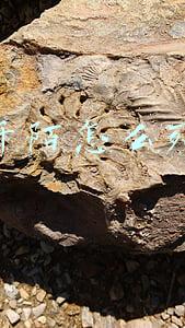 杀阡陌怎么死的
