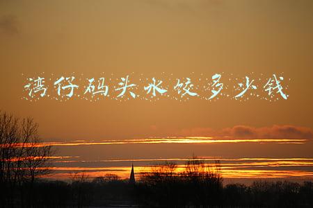 湾仔码头水饺价格表(湾仔码头水饺多少钱一袋 参考价格介绍)