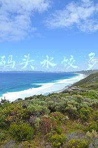 湾仔码头三鲜水饺多少钱(数据丨湾仔码头遍地开花，高端水饺的锋芒终于“盖”不住了！)